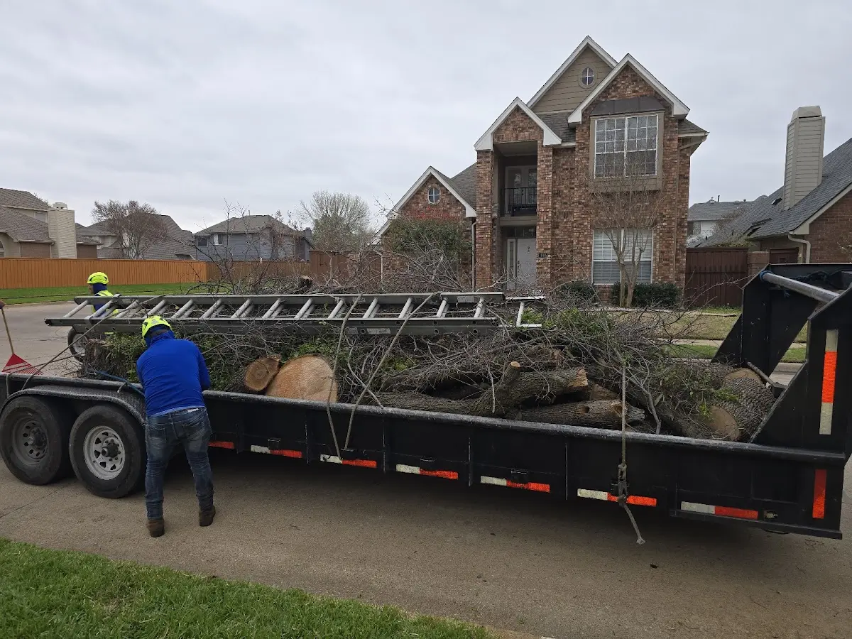 Expert Tree Fertilization with proper safety equipment in Pearblossom